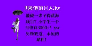 能做一辈子的蓝海项目？小学生一个月也有3000+，yw男粉赛道，永恒的暴利-小本创业副业项目推荐_零成本在家赚钱项目_中赚网