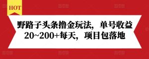 野路子头条撸金玩法，单号收益20~200+每天，项目包落地-小本创业副业项目推荐_零成本在家赚钱项目_中赚网