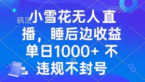 （13491期）小雪花无人直播 睡后收益单日1000+ 零粉丝新号开播 不违规 看完就会-小本创业副业项目推荐_零成本在家赚钱项目_中赚网
