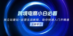 （13503期）跨境电商小白必看！独立站建站+运营实战教程，助你快速入门并精通-小本创业副业项目推荐_零成本在家赚钱项目_中赚网