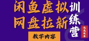 闲鱼虚拟网盘拉新训练营，两天快速人门，长久稳定被动收入，要在没有天花板的项目里赚钱-小本创业副业项目推荐_零成本在家赚钱项目_中赚网