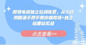跨境电商独立站训练营，从小白到精通手把手教你做跨境+独立站建站实战-小本创业副业项目推荐_零成本在家赚钱项目_中赚网