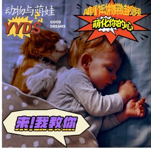 AI制作动物与萌娃互动视频，瞬间萌化你的心，粉丝大米一起收货！-小本创业副业项目推荐_零成本在家赚钱项目_中赚网
