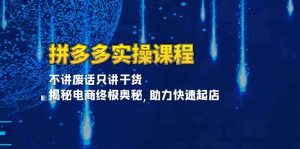 （13577期）拼多多实操课程：不讲废话只讲干货, 揭秘电商终极奥秘,助力快速起店-小本创业副业项目推荐_零成本在家赚钱项目_中赚网