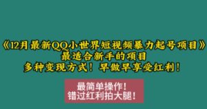 12月最新QQ小世界短视频暴力起号项目，最适合新手的项目，多种变现方式-小本创业副业项目推荐_零成本在家赚钱项目_中赚网