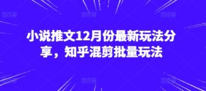 小说推文12月份最新玩法分享，知乎混剪批量玩法-小本创业副业项目推荐_零成本在家赚钱项目_中赚网