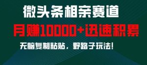 微头条相亲赛道，迅速积累，无脑复制粘贴，野路子玩法，月入1w-小本创业副业项目推荐_零成本在家赚钱项目_中赚网