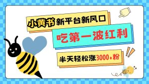 小黄书重磅来袭，新平台新风口，管理宽松，半天轻松涨3000粉，第一波红利等你来吃-小本创业副业项目推荐_零成本在家赚钱项目_中赚网