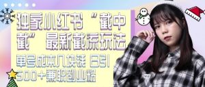 最新小红书截流玩法 独家截中截 单号成本几块钱 日引500+CY粉JZ粉-小本创业副业项目推荐_零成本在家赚钱项目_中赚网