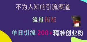 不为人知的引流渠道，流量揭秘，实测单日引流200+精准创业粉-小本创业副业项目推荐_零成本在家赚钱项目_中赚网