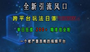 全新引流风口,跨平台玩法日入上k,单日狂揽200+精准创业粉,一个被严重忽略的视频平台-小本创业副业项目推荐_零成本在家赚钱项目_中赚网