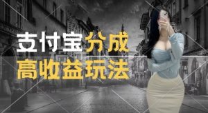 支付宝分成计划新玩法，利用交通事故视频，赚收益，轻松月入过W，操作简单-小本创业副业项目推荐_零成本在家赚钱项目_中赚网