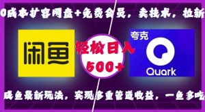 0成本扩容网盘+免费会员，卖技术，拉新，咸鱼最新玩法，实现多重管道收益，一鱼多吃，轻松日入500+-小本创业副业项目推荐_零成本在家赚钱项目_中赚网
