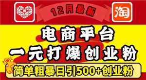 12月最新：电商平台1元打爆创业粉，简单粗暴日引500+精准创业粉，轻松月入过W-小本创业副业项目推荐_零成本在家赚钱项目_中赚网