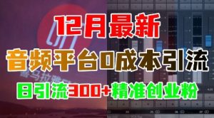 12月最新：音频平台0成本引流，日引流300+精准创业粉-小本创业副业项目推荐_零成本在家赚钱项目_中赚网