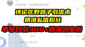 （13676期）评论区野路子引流术，精准私信粉丝，单号日引流300+精准创业粉-小本创业副业项目推荐_零成本在家赚钱项目_中赚网