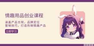 （13682期）情趣用品创业课程：涵盖产品合规，品牌定位，营销技巧，打造热销情趣产品-小本创业副业项目推荐_零成本在家赚钱项目_中赚网