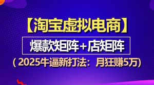 （13687期）【淘宝虚拟项目】2025牛逼新打法：爆款矩阵+店矩阵，月狂赚5万-小本创业副业项目推荐_零成本在家赚钱项目_中赚网