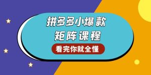 （13699期）拼多多爆款矩阵课程：教你测出店铺爆款，优化销量，提升GMV，打造爆款群-小本创业副业项目推荐_零成本在家赚钱项目_中赚网