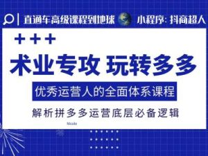 术业专攻玩转多多，优秀运营人的全面体系课程，解析拼多多运营底层必备逻辑-小本创业副业项目推荐_零成本在家赚钱项目_中赚网