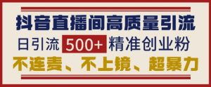 抖音直播间引流创业粉，无需连麦、不用上镜、超暴力，日引流500+高质量精准创业粉-小本创业副业项目推荐_零成本在家赚钱项目_中赚网