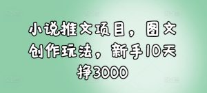 小说推文项目,图文创作玩法,新手10天挣3000-小本创业副业项目推荐_零成本在家赚钱项目_中赚网