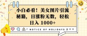 小白必看，美女图片引流秘籍，日涨粉无数，轻松日入几张-小本创业副业项目推荐_零成本在家赚钱项目_中赚网