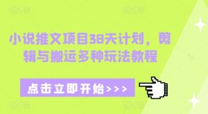 小说推文项目38天计划，剪辑与搬运多种玩法教程-小本创业副业项目推荐_零成本在家赚钱项目_中赚网