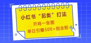 小红书“另类”打法，开局一张图，单日引爆500+精准创业粉-小本创业副业项目推荐_零成本在家赚钱项目_中赚网