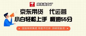 （13833期）京东带货 代运营 利润55分 告别年终焦虑 年底不打烊 持续现金流-小本创业副业项目推荐_零成本在家赚钱项目_中赚网