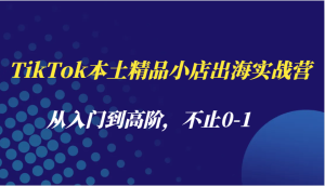 TikTok本土精品小店出海实战营，从入门到高阶，不止0-1-小本创业副业项目推荐_零成本在家赚钱项目_中赚网