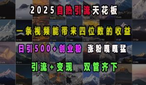 2025自热引流天花板，一条视频能带来四位数的收益，引流+变现双管齐下，日引500+创业粉，涨粉嘎嘎猛-小本创业副业项目推荐_零成本在家赚钱项目_中赚网