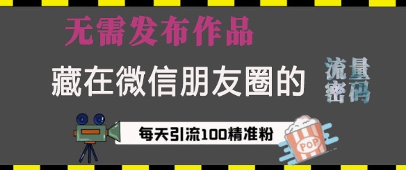 藏在微信朋友圈的流量密码，无需发布作品，单日引流100+精准创业粉-小本创业副业项目推荐_零成本在家赚钱项目_中赚网