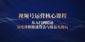 视频号运营核心课程，从入门到精通，深度讲解推流算法与排品实操玩-小本创业副业项目推荐_零成本在家赚钱项目_中赚网