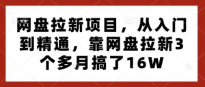 网盘拉新项目，从入门到精通，靠网盘拉新3个多月搞了16W-小本创业副业项目推荐_零成本在家赚钱项目_中赚网