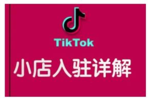 TikTok跨境小店运营全攻略，帮助你独立运营TK跨境小店的能力，实现销量增长-小本创业副业项目推荐_零成本在家赚钱项目_中赚网