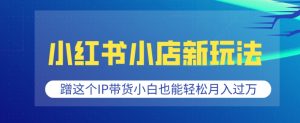 小红书小店新玩法，蹭这个IP带货，小白也能轻松月入过W-小本创业副业项目推荐_零成本在家赚钱项目_中赚网
