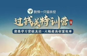 剽悍一只猫-过钱关特训营，学习营销真经 大幅度提高创富效率-小本创业副业项目推荐_零成本在家赚钱项目_中赚网