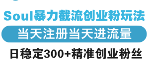 （13935期）Soul暴力截流创业粉玩法，当天注册当天进流量，日稳定300+精准创业粉丝-小本创业副业项目推荐_零成本在家赚钱项目_中赚网