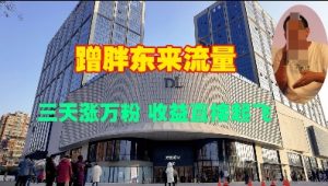 蹭胖东来流量，三天涨万粉，收益直接起飞-小本创业副业项目推荐_零成本在家赚钱项目_中赚网