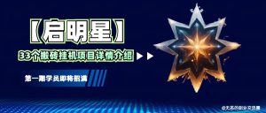 【启明星】33个挂机搬砖项目详细介绍，新手网创看这个就够了。-小本创业副业项目推荐_零成本在家赚钱项目_中赚网