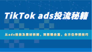 TikTok ads投流秘籍：从ads投放及素材拆解，到剪辑去重，全方位传授技巧-小本创业副业项目推荐_零成本在家赚钱项目_中赚网