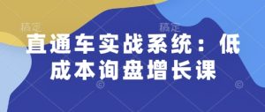 直通车实战系统：低成本询盘增长课，让个人通过技能实现升职加薪，让企业低成本获客，订单源源不断-小本创业副业项目推荐_零成本在家赚钱项目_中赚网