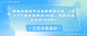 网易小蜜蜂平台涨粉思路分享，1晚上3个账号各跑出1W粉，同时引流公众号1000+-小本创业副业项目推荐_零成本在家赚钱项目_中赚网