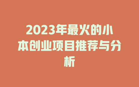 2023年最火的小本创业项目推荐与分析-小本创业副业项目推荐_零成本在家赚钱项目_中赚网