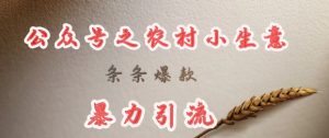 deepseek写农村小项目，条条爆款，暴力引流-小本创业副业项目推荐_零成本在家赚钱项目_中赚网