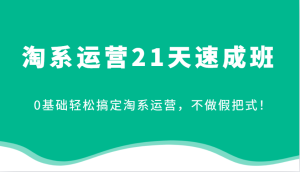 淘系运营21天速成班，0基础轻松搞定淘系运营，不做假把式！（更新）-小本创业副业项目推荐_零成本在家赚钱项目_中赚网