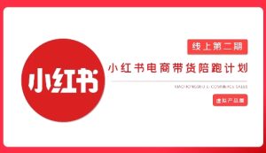 2025小红书虚拟电商实战课,从0到1打造无货源店铺,AI+爆款笔记轻松变现-小本创业副业项目推荐_零成本在家赚钱项目_中赚网