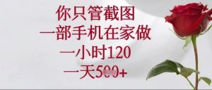 你只管截图，一部手机在家操作，一小时120.一天5张-小本创业副业项目推荐_零成本在家赚钱项目_中赚网
