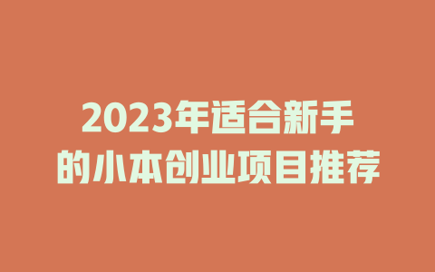 2023年适合新手的小本创业项目推荐-小本创业副业项目推荐_零成本在家赚钱项目_中赚网